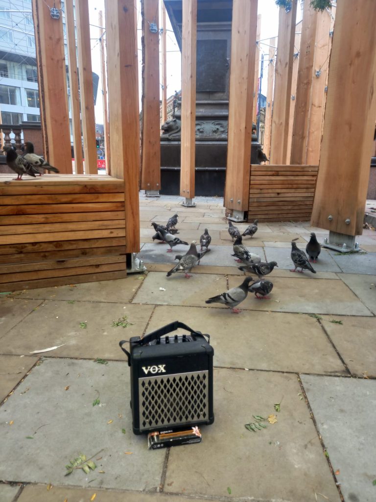 Katie's busking amp surrounded by pigeons