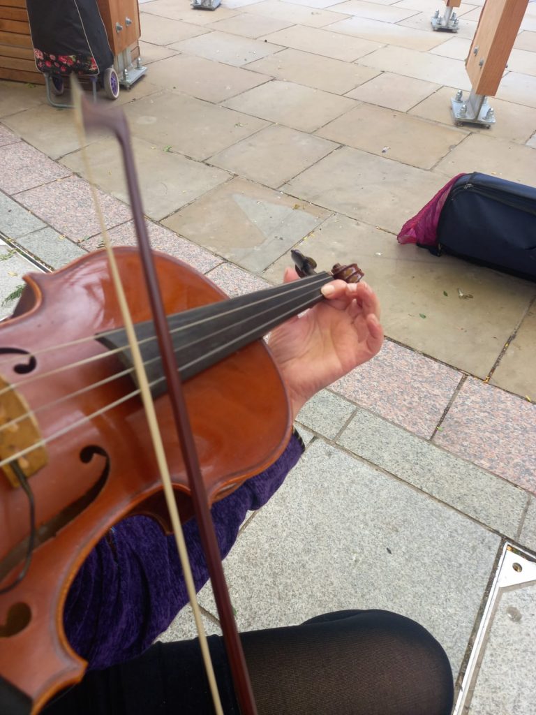 A picture of a viola